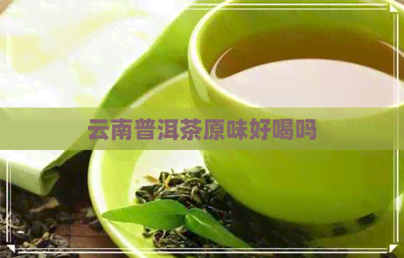 云南普洱茶原味好喝吗