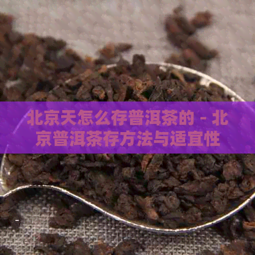 北京天怎么存普洱茶的 - 北京普洱茶存方法与适宜性