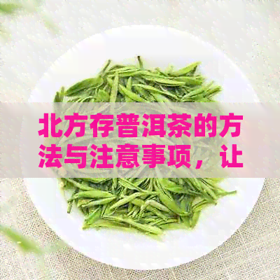 北方存普洱茶的方法与注意事项，让您的普洱茶长久保持品质和口感