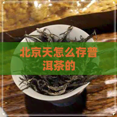 北京天怎么存普洱茶的