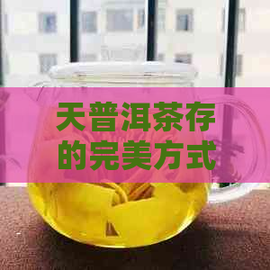 天普洱茶存的完美方式：保持适宜环境，避免阳光直射