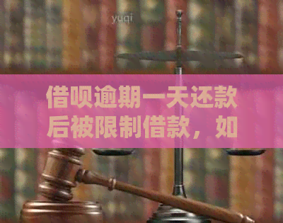 借呗逾期一天还款后被限制借款，如何解决？