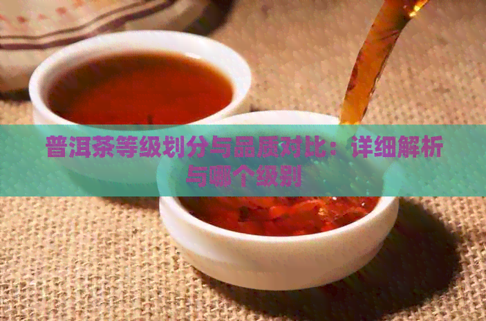 普洱茶等级划分与品质对比：详细解析与哪个级别