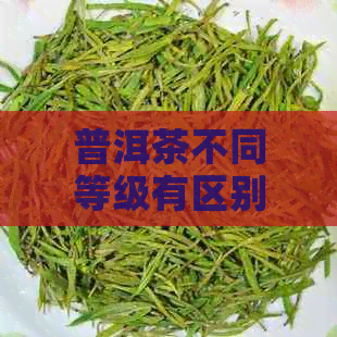 普洱茶不同等级有区别：探究茶叶等级差异