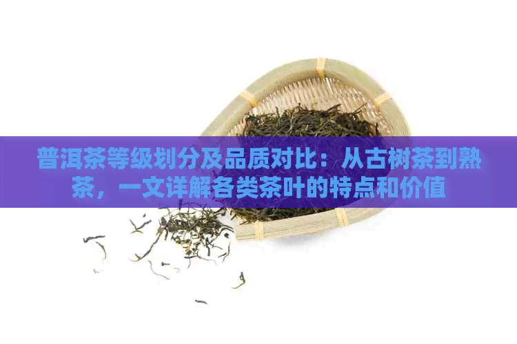 普洱茶等级划分及品质对比：从古树茶到熟茶，一文详解各类茶叶的特点和价值