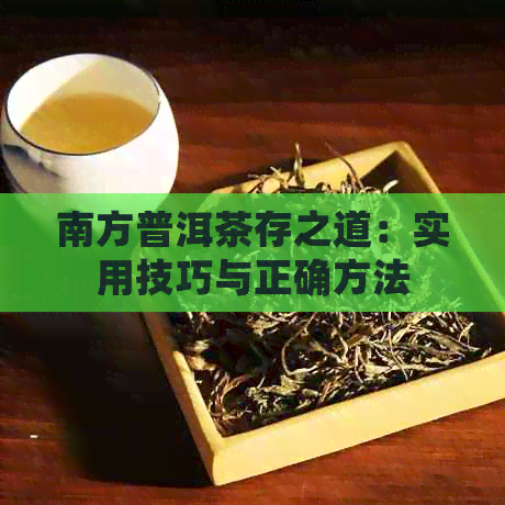 南方普洱茶存之道：实用技巧与正确方法