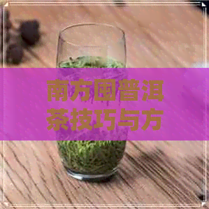 南方囤普洱茶技巧与方法