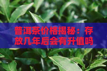 普洱茶价格揭秘：存放几年后会有升值吗？