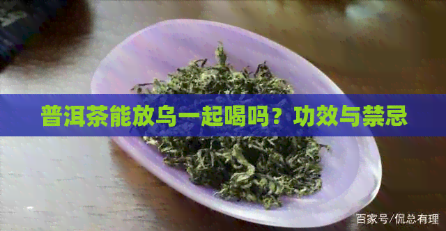 普洱茶能放乌一起喝吗？功效与禁忌