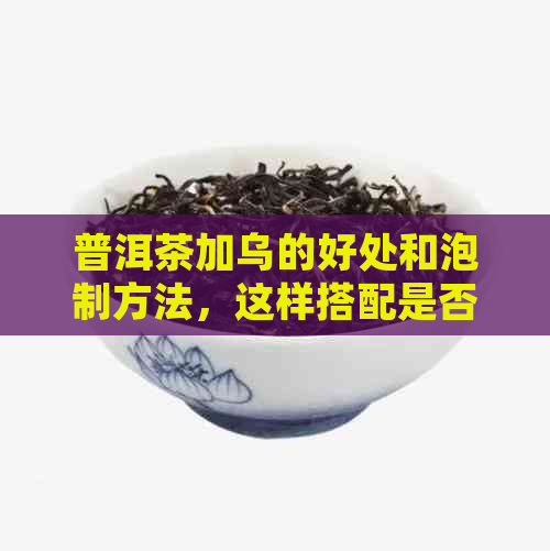 普洱茶加乌的好处和泡制方法，这样搭配是否可行？