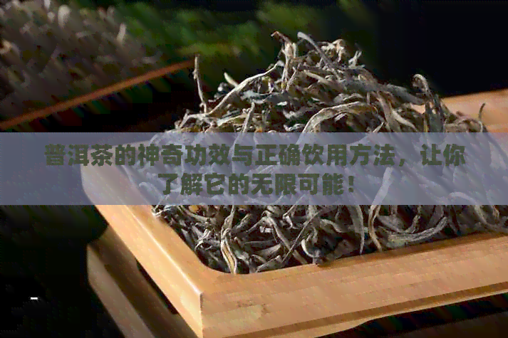 普洱茶的神奇功效与正确饮用方法，让你了解它的无限可能！