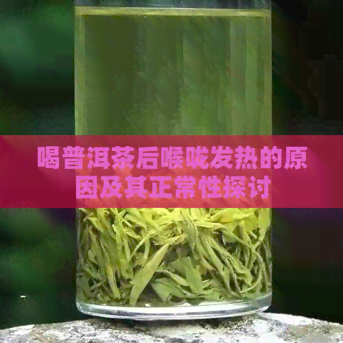 喝普洱茶后喉咙发热的原因及其正常性探讨