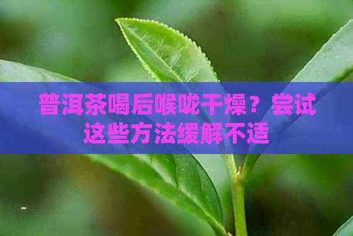 普洱茶喝后喉咙干燥？尝试这些方法缓解不适