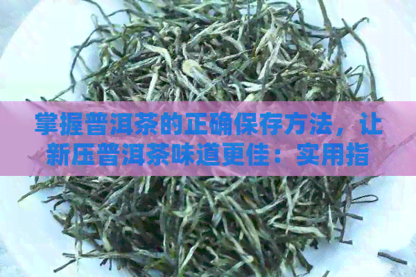 掌握普洱茶的正确保存方法，让新压普洱茶味道更佳：实用指南