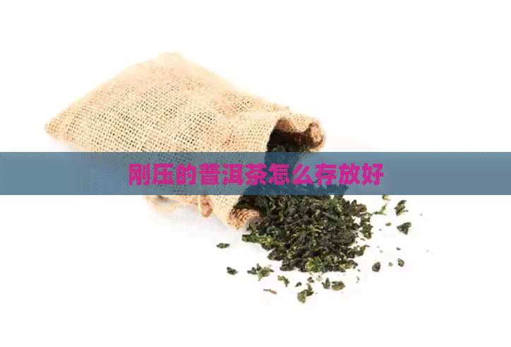 刚压的普洱茶怎么存放好