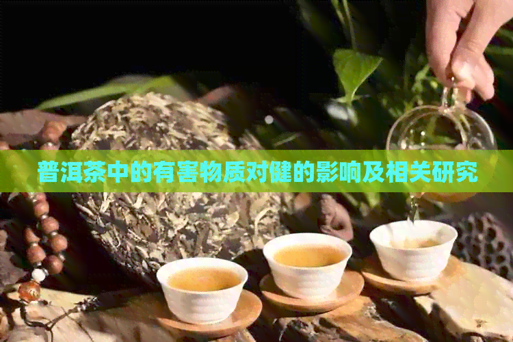 普洱茶中的有害物质对健的影响及相关研究