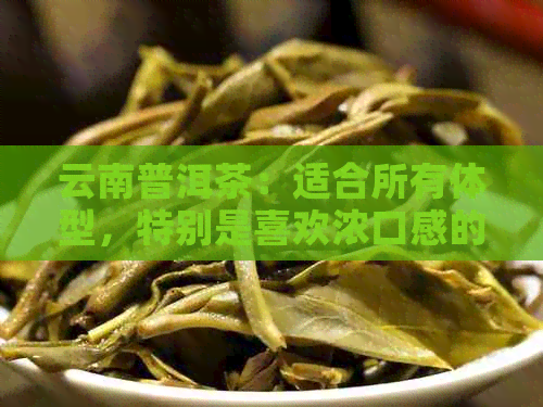 云南普洱茶：适合所有体型，特别是喜欢浓口感的小胖子