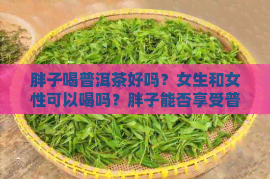 胖子喝普洱茶好吗？女生和女性可以喝吗？胖子能否享受普洱茶的益处？