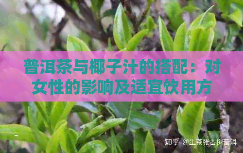 普洱茶与椰子汁的搭配：对女性的影响及适宜饮用方式解析