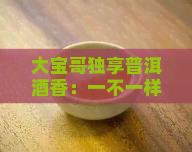 大宝哥独享普洱酒香：一不一样的品鉴之旅