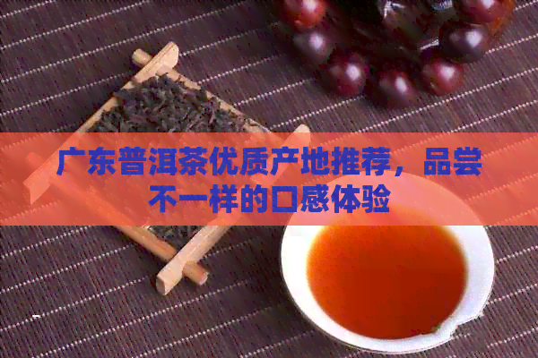 广东普洱茶优质产地推荐，品尝不一样的口感体验