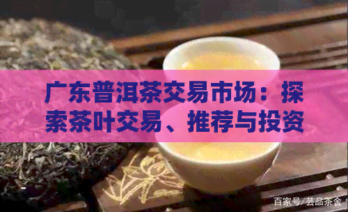 广东普洱茶交易市场：探索茶叶交易、推荐与投资分析的全方位指南