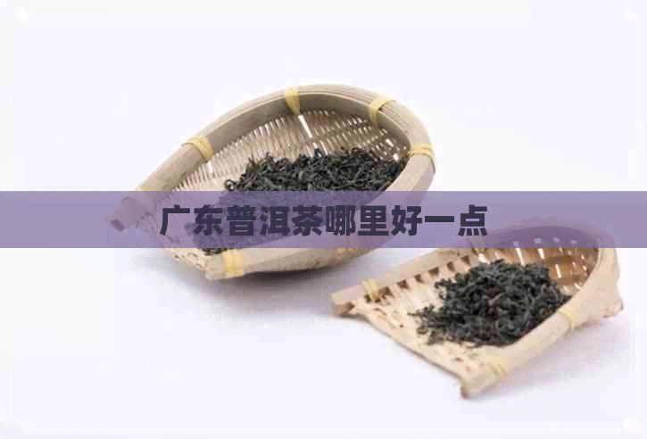 广东普洱茶哪里好一点