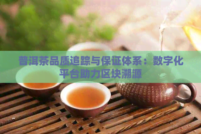 普洱茶品质追踪与保证体系：数字化平台助力区块溯源