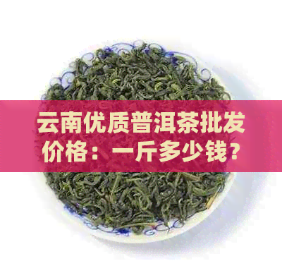 云南优质普洱茶批发价格：一斤多少钱？