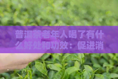 普洱茶老年人喝了有什么好处和功效：促进消化、降低血脂、抗氧化等。