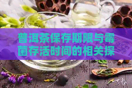 普洱茶保存期限与霉菌存活时间的相关探讨