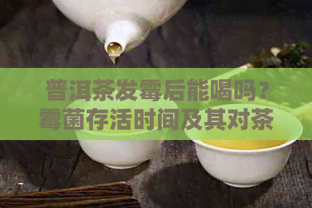 普洱茶发霉后能喝吗？霉菌存活时间及其对茶叶品质的影响解析