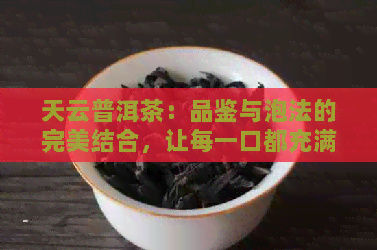 天云普洱茶：品鉴与泡法的完美结合，让每一口都充满惊喜