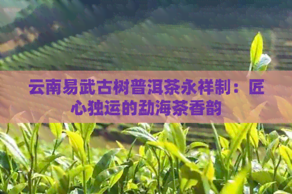 云南易武古树普洱茶永祥制：匠心独运的勐海茶香韵