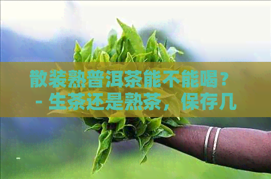 散装熟普洱茶能不能喝？ - 生茶还是熟茶，保存几年合适？