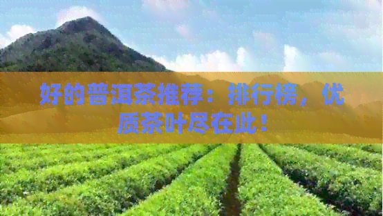 好的普洱茶推荐：排行榜，优质茶叶尽在此！