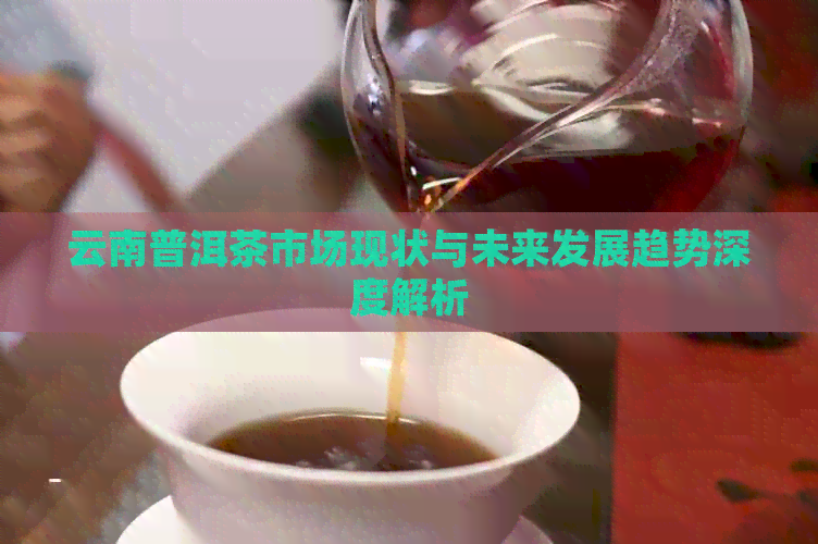 云南普洱茶市场现状与未来发展趋势深度解析