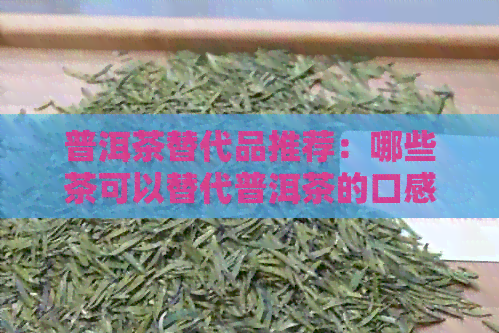 普洱茶替代品推荐：哪些茶可以替代普洱茶的口感与功效？