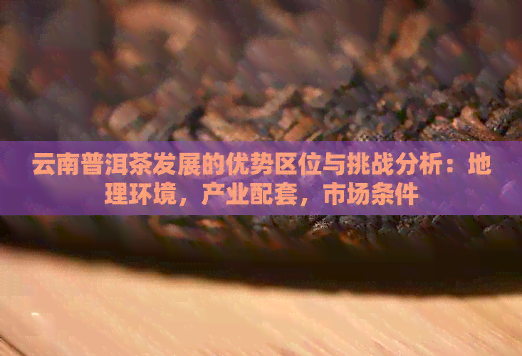 云南普洱茶发展的优势区位与挑战分析：地理环境，产业配套，市场条件