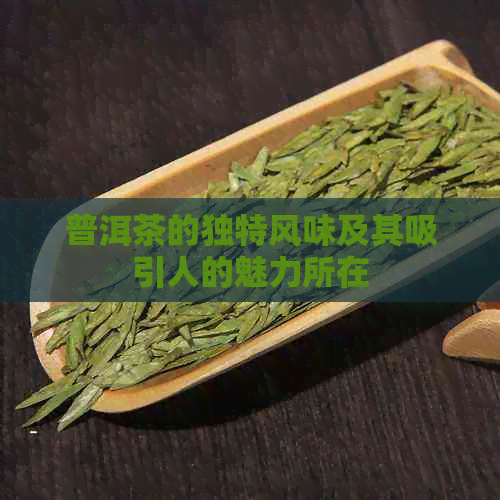 普洱茶的独特风味及其吸引人的魅力所在