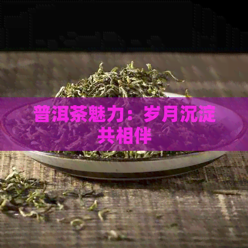 普洱茶魅力：岁月沉淀共相伴