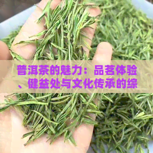 普洱茶的魅力：品茗体验、健益处与文化传承的综合解析