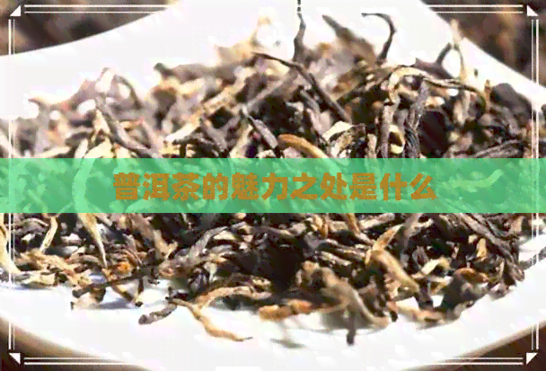 普洱茶的魅力之处是什么