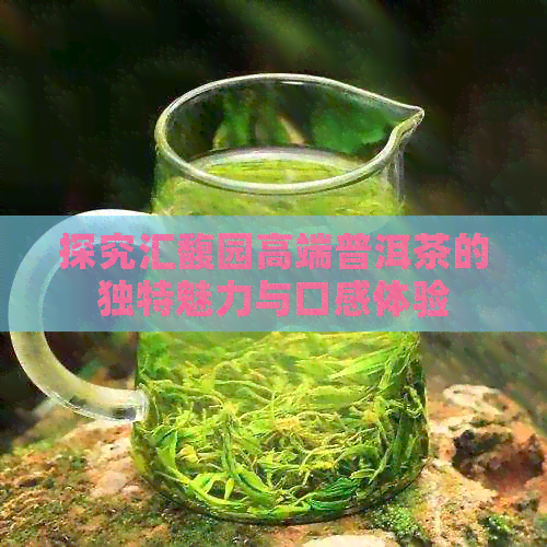 探究汇馥园高端普洱茶的独特魅力与口感体验