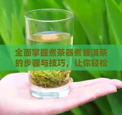 全面掌握煮茶器煮普洱茶的步骤与技巧，让你轻松泡出一杯好茶的方法大全