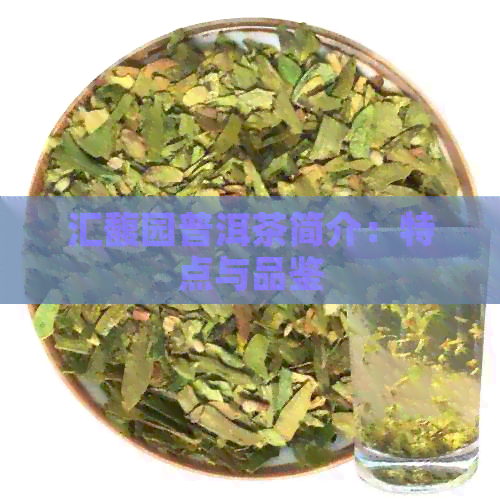 汇馥园普洱茶简介：特点与品鉴