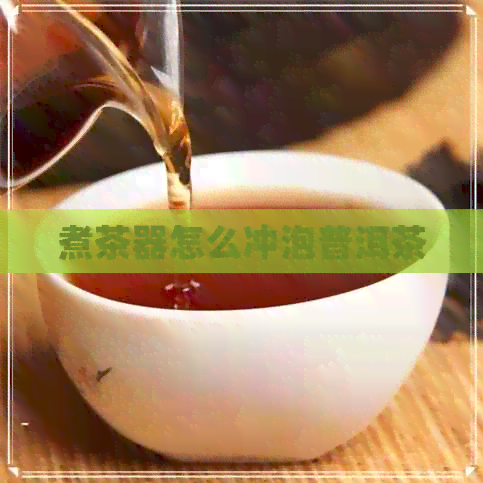 煮茶器怎么冲泡普洱茶