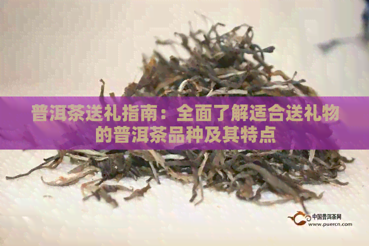 普洱茶送礼指南：全面了解适合送礼物的普洱茶品种及其特点