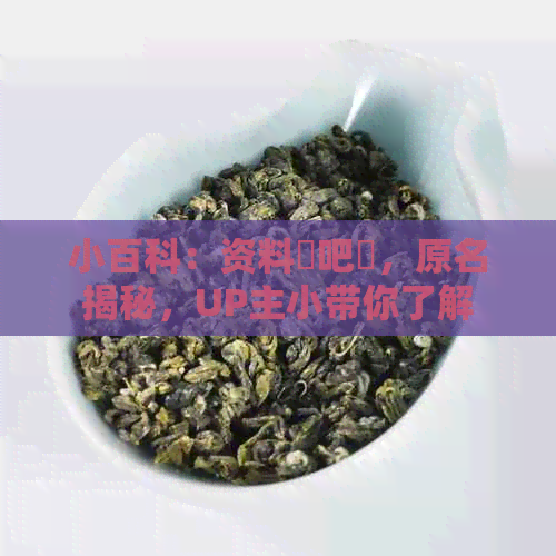 小百科：资料嘚吧嘚，原名揭秘，UP主小带你了解