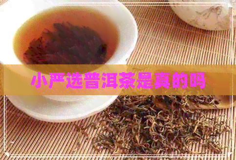 小严选普洱茶是真的吗